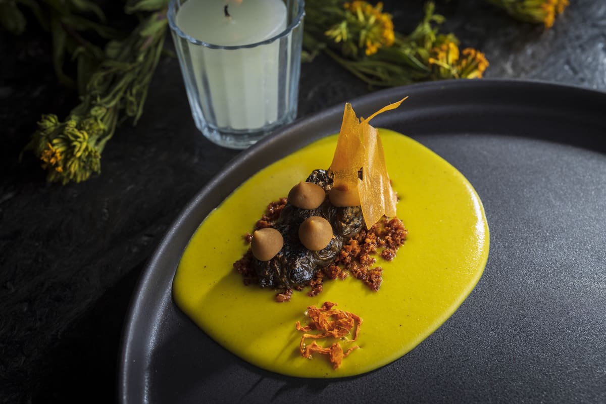 Restaurante Balcón del Zócalo - Menú de otoño - Tupinambo Nixtamalizado, Mole de Cempasúchil y Papel Chabacano preservado.